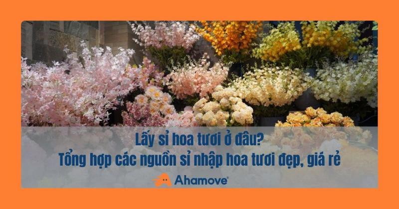 Bo hoa cuc tim thach thao tim tuoi dang duoc lua chon tai cua hang hoa